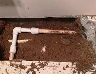 饶河测漏水哪家好