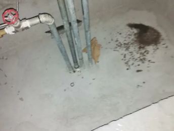 饶河卫生间测漏水价格明细