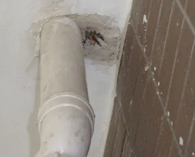 饶河漏水检测哪家好